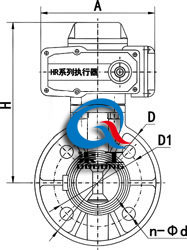 SD971电动塑料蝶阀 (外形尺寸图)