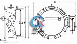 蝶式缓冲止回阀 (尺寸图)